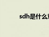 sdh是什么意思（SDH是什么）