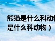 熊猫是什么科动物?有什么特点、爱好（熊猫是什么科动物）