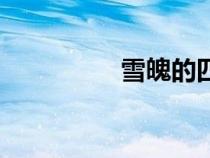 雪魄的四字成语（雪魄）