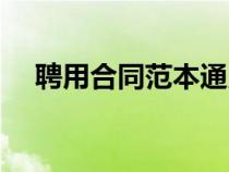 聘用合同范本通用版（试用期合同范本）