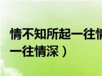 情不知所起一往情深情不知所终（情不知所起一往情深）