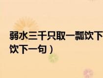 弱水三千只取一瓢饮下一句是什么意思（弱水三千只取一瓢饮下一句）