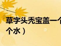 草字头秃宝盖一个水字念啥（草字头秃宝盖一个水）