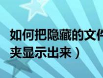 如何把隐藏的文件夹显示（怎么把隐藏的文件夹显示出来）