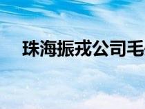 珠海振戎公司毛丹简介（珠海振戎公司）