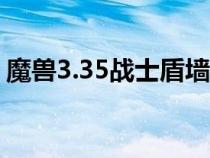 魔兽3.35战士盾墙宏（魔兽世界战士盾反宏）