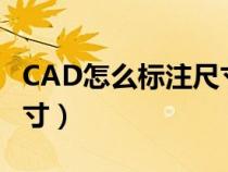 CAD怎么标注尺寸数字大小（cad怎么标注尺寸）