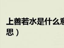 上善若水是什么意思视频（上善若水是什么意思）