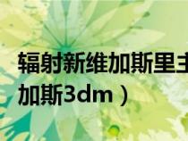 辐射新维加斯里主角的身份是什么（辐射新维加斯3dm）