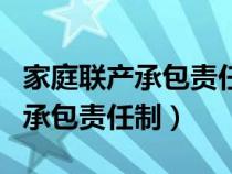 家庭联产承包责任制的积极作用（论家庭联产承包责任制）