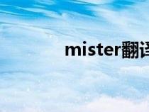 mister翻译成中文（mister）