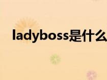 ladyboss是什么意思（boss是什么意思）