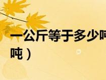 一公斤等于多少吨怎么换算（一公斤等于多少吨）