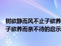 树欲静而风不止子欲养而亲不待启示我们（树欲静而风不止子欲养而亲不待的启示）