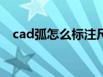 cad弧怎么标注尺寸（cad弧度怎么标注）