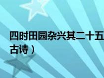 四时田园杂兴其二十五古诗的意思（四时田园杂兴其二十五古诗）