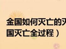 金国如何灭亡的灭亡过程（谁能详细介绍下金国灭亡全过程）