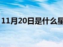 11月20日是什么星座（11月2日是什么星座）