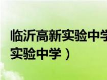 临沂高新实验中学是公办还是民办（临沂高新实验中学）