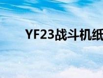 YF23战斗机纸模图纸（yf23战斗机）