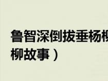 鲁智深倒拔垂杨柳故事概括（鲁智深倒拔垂杨柳故事）