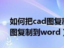 如何把cad图复制到word文档（如何把cad图复制到word）