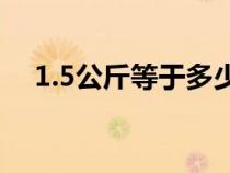 1.5公斤等于多少克（1公斤等于多少克）