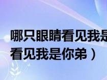 哪只眼睛看见我是你弟弟在线阅读（哪只眼睛看见我是你弟）