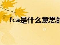 fca是什么意思的缩写（fca是什么意思）