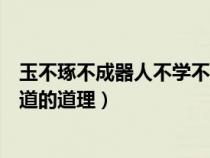 玉不琢不成器人不学不知道对吗（玉不琢不成器人不学不知道的道理）