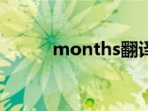 months翻译成中文（months）