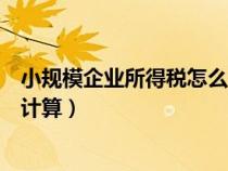 小规模企业所得税怎么计算出来的（小规模企业所得税怎么计算）