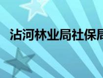 沾河林业局社保局电话号码（沾河林业局）