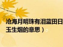 沧海月明珠有泪蓝田日暖玉生香（沧海月明珠有泪蓝田日暖玉生烟的意思）