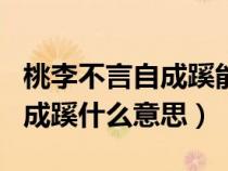 桃李不言自成蹊能形容什么人（桃李不言下自成蹊什么意思）