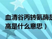 血清谷丙转氨酶是啥意思（血清谷丙转氨酶偏高是什么意思）