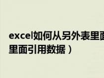 excel如何从另外表里面引用数据格式（excel如何从另外表里面引用数据）