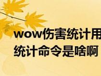 wow伤害统计用哪个比较好（魔兽世界伤害统计命令是啥啊）