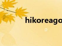 hikoreagokr官网（hikorea）