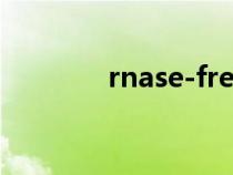 rnase-free是什么（rnase）