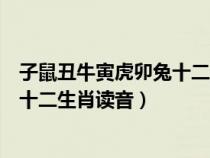 子鼠丑牛寅虎卯兔十二生肖读音是什么（子鼠丑牛寅虎卯兔十二生肖读音）