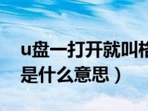 u盘一打开就叫格式化如何修复（u盘格式化是什么意思）