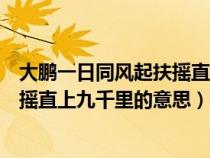 大鹏一日同风起扶摇直上九千里的激情（大鹏一日同风起扶摇直上九千里的意思）