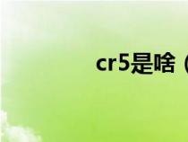 cr5是啥（cr5是什么意思）