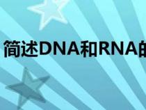 简述DNA和RNA的区别（dna和rna的区别）