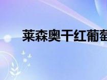 莱森奥干红葡萄酒750ml价格（莱森）