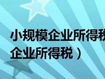 小规模企业所得税什么时候申报缴纳（小规模企业所得税）