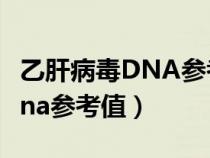 乙肝病毒DNA参考值多少为正常（乙肝病毒dna参考值）