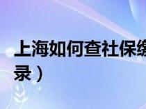 上海如何查社保缴费记录（如何查社保缴费记录）