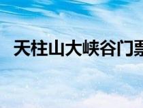 天柱山大峡谷门票多少钱（天柱山大峡谷）